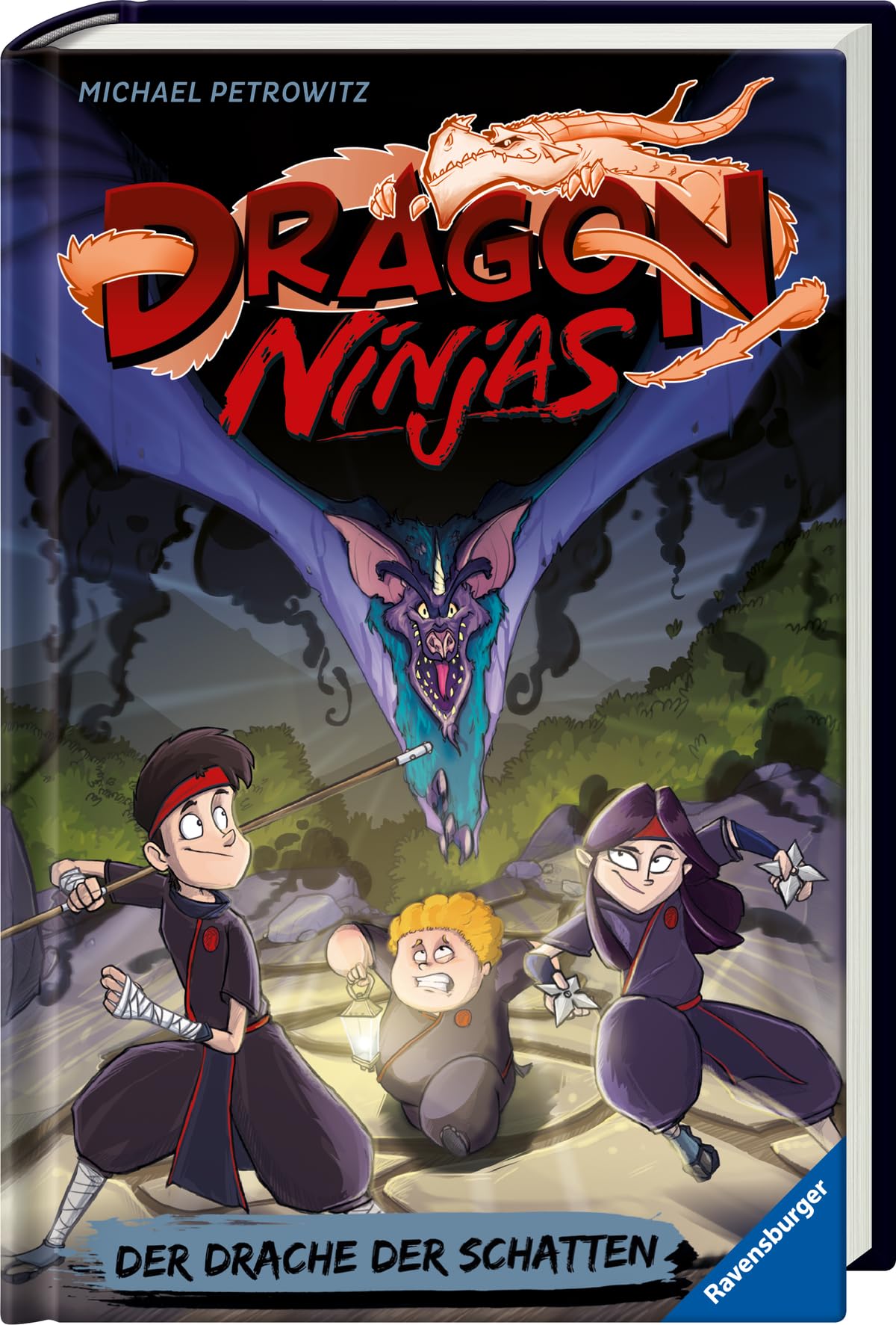 Dragon Ninjas, Band 5: Der Drache der Schatten Novels & Short Stories
