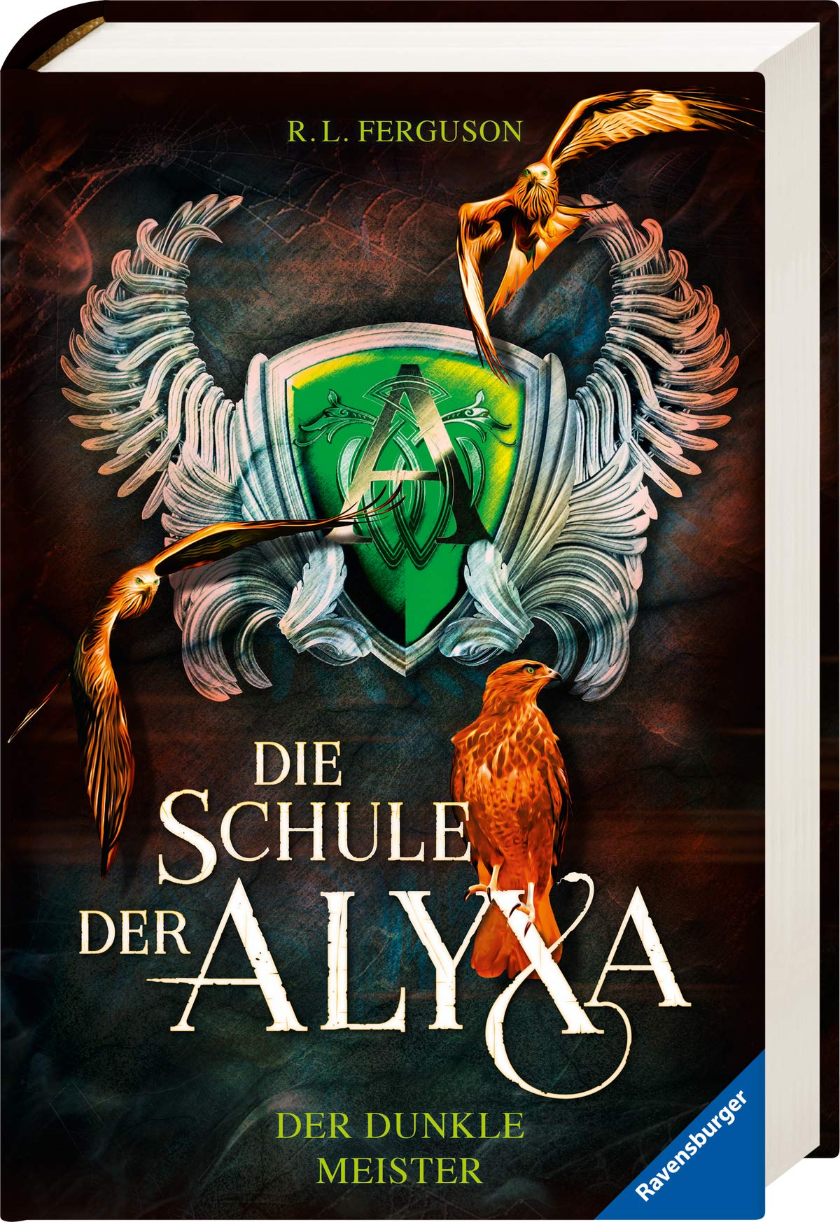 Product Image: Die Schule der Alyxa, Band 1: Der dunkle Meister