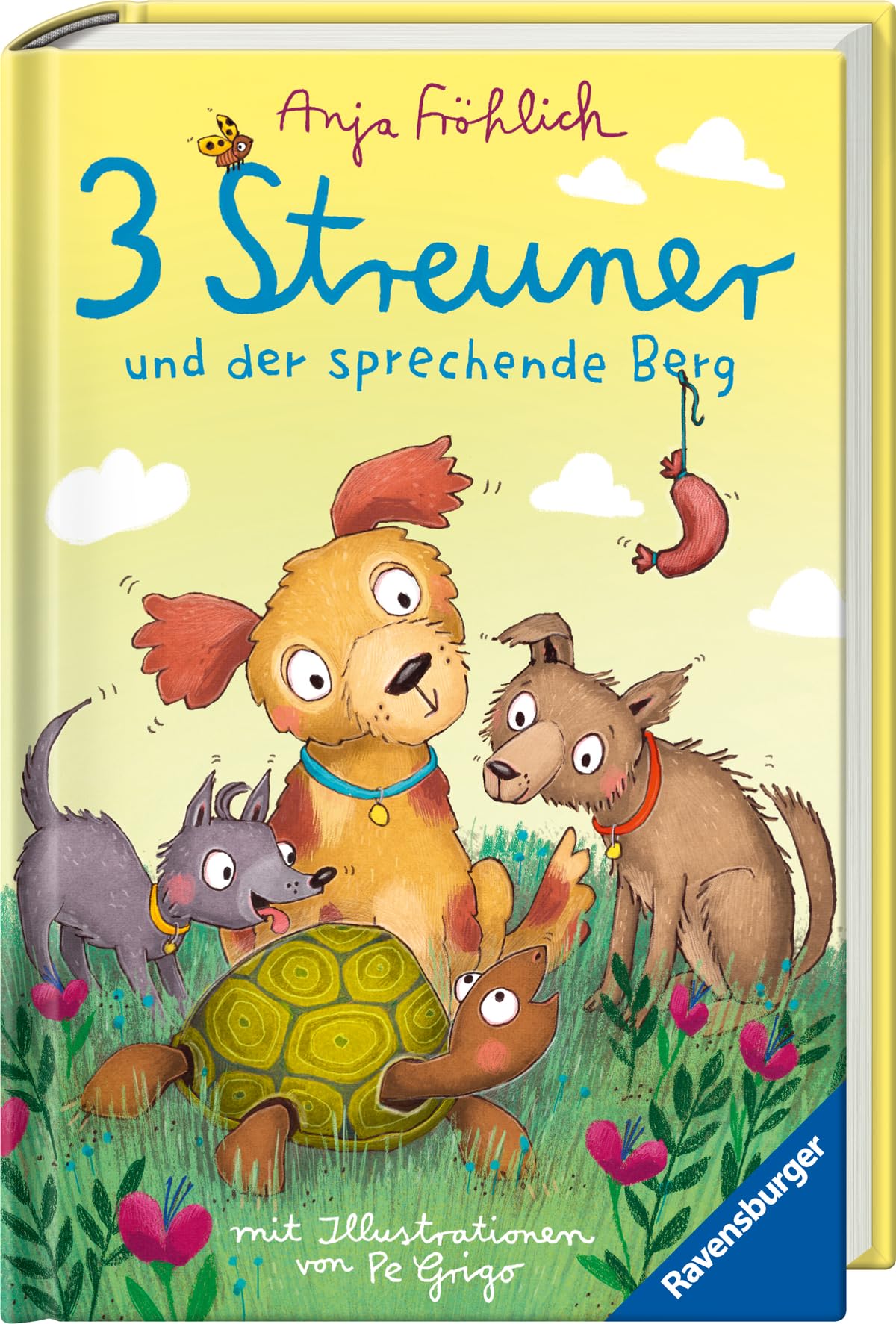 Product Image: 3 Streuner und der sprechende Berg