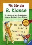 Fit für die 3. Klasse: Grundrechenarten, Textaufgaben, Aufsatz, Rechtschreiben, Diktate Study Guides