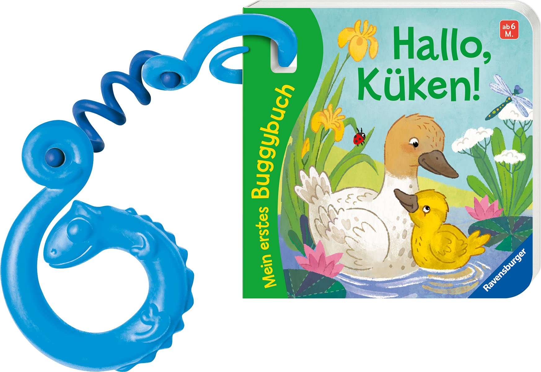 Mein erstes Buggybuch: Hallo, Küken! Non-fiction