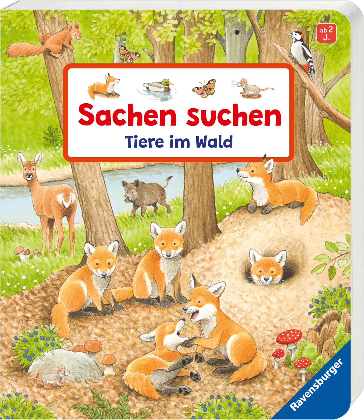 Sachen suchen: Tiere im Wald Leisure, Home & Garden