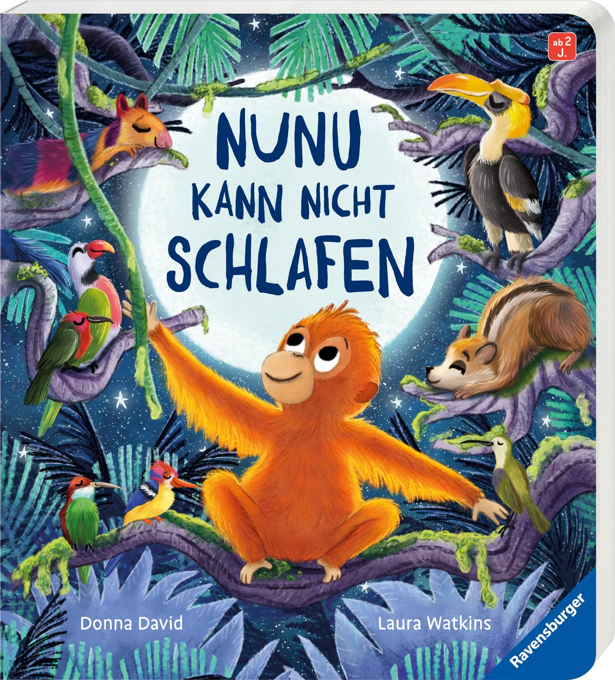 Nunu kann nicht schlafen - eine liebevoll erzählte Gutenachtgeschichte für Kinder ab 2 Jahren book