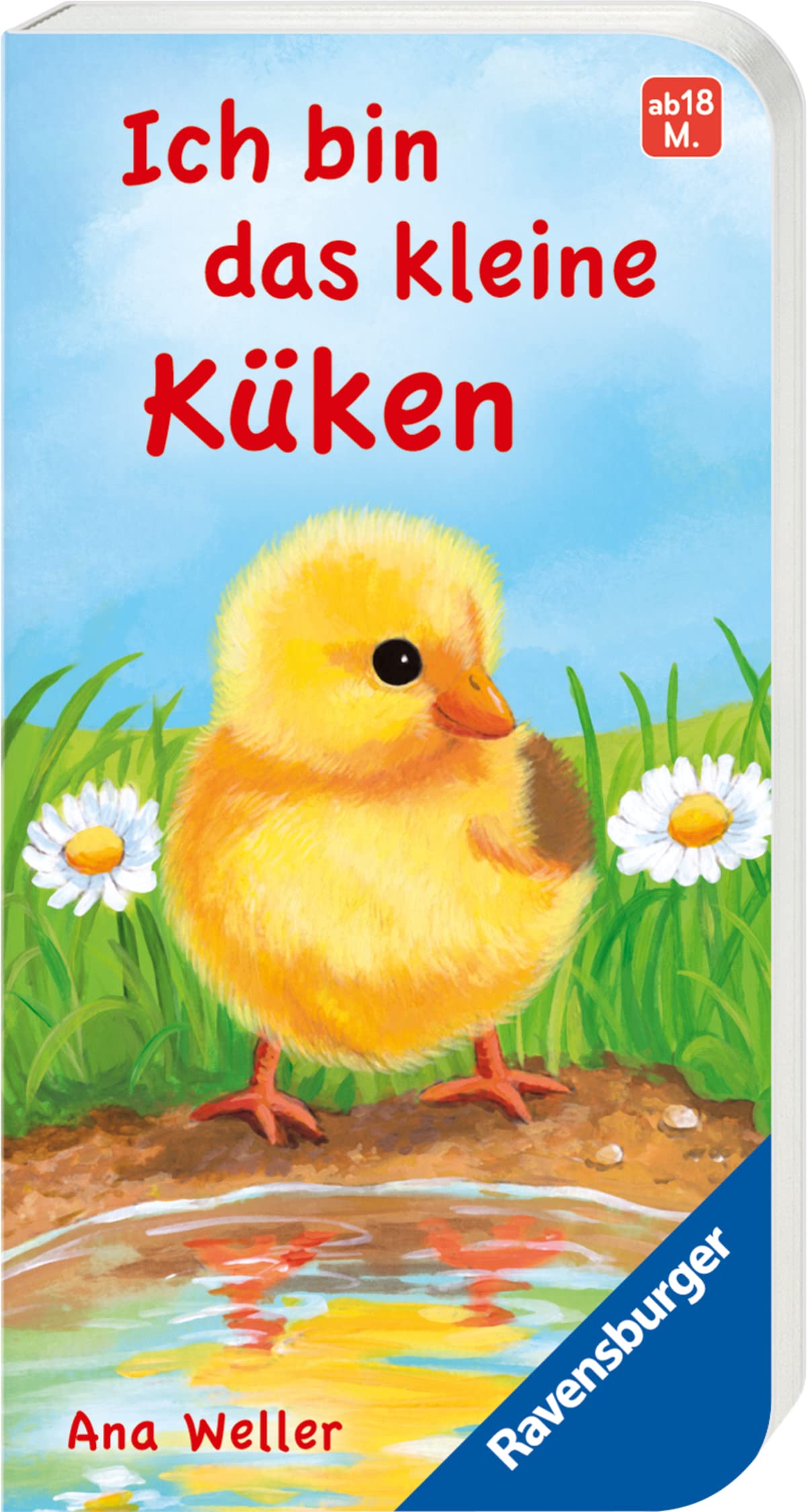Ich bin das kleine Küken Children's books