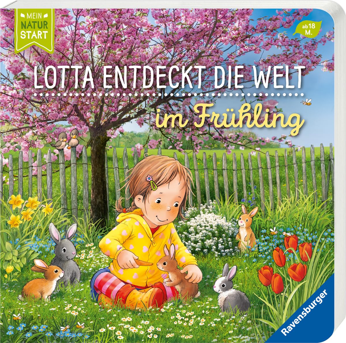Lotta entdeckt die Welt: Im Frühling Business & Technology