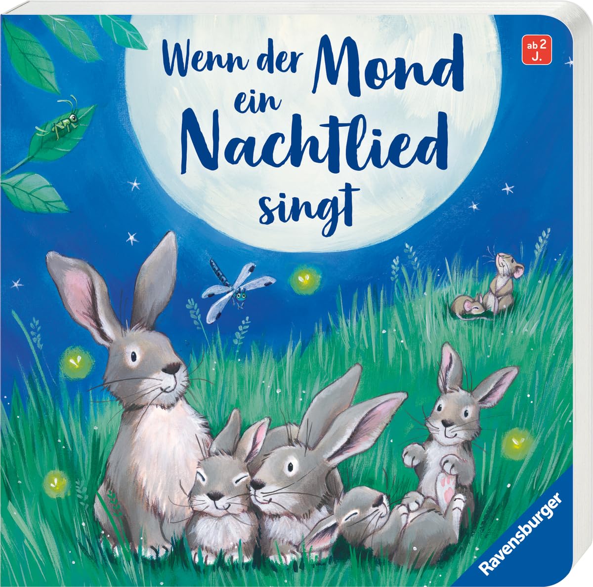 Wenn der Mond ein Nachtlied singt Non-fiction