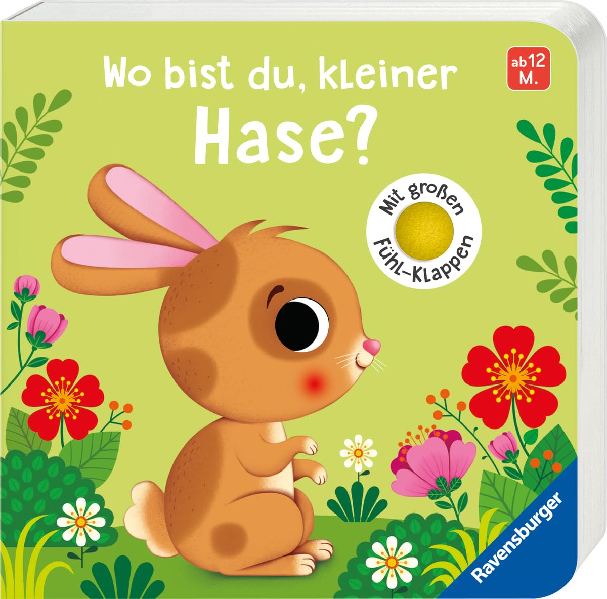 Wo bist du ...? - Wo bist du, kleiner Hase? Non-fiction