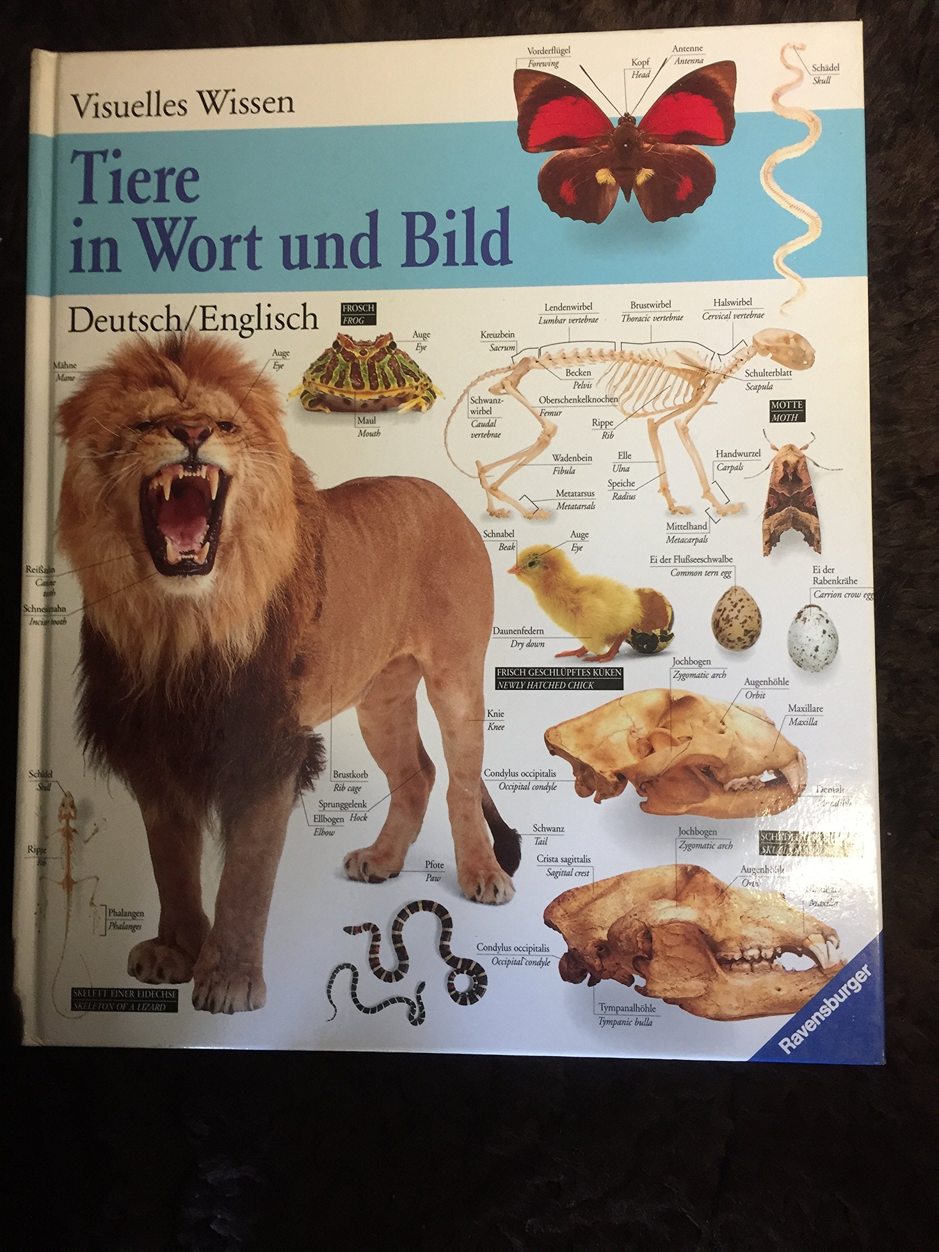 Product Image: Tiere in Wort und Bild (Deutsch/Englisch)