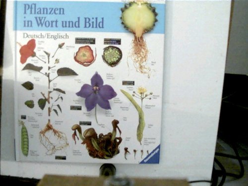 Pflanzen in Wort und Bild. Bildwörterbuch. Deutsch/Englisch. Serie: Visuelles Wissen. Books