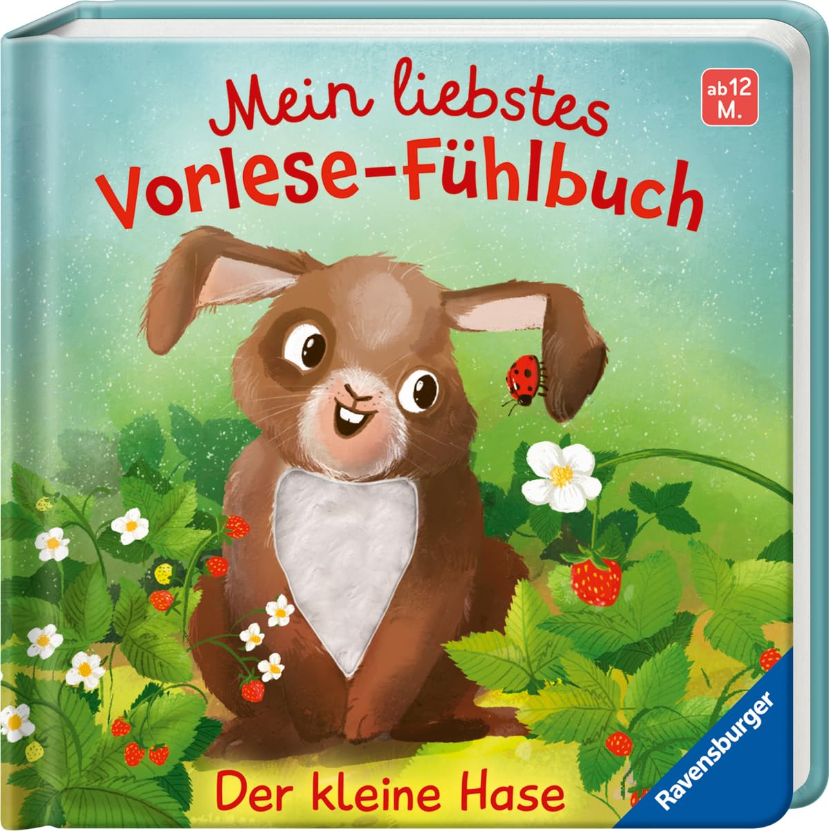 Mein liebstes Vorlese-Fühlbuch - Der kleine Hase Non-fiction