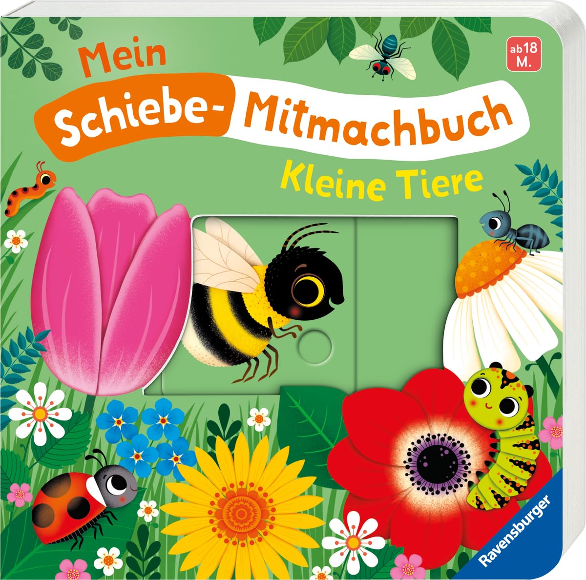 Mein Schiebe-Mitmachbuch - Kleine Tiere Non-fiction