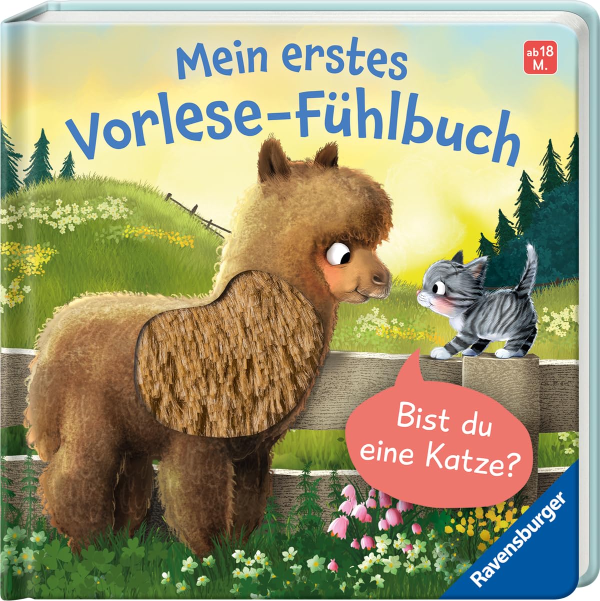 Mein erstes Vorlese-Fühlbuch - Bist du eine Katze? Non-fiction