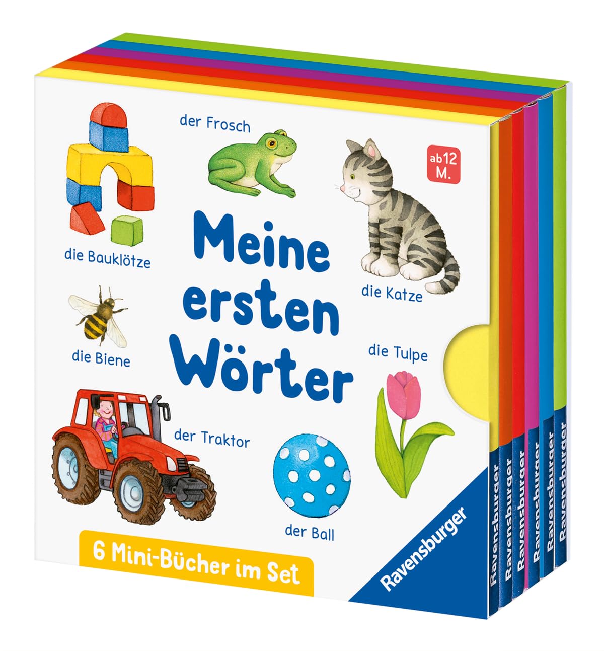 Meine ersten Wörter: 6 Mini-Bücher im Set Non-fiction