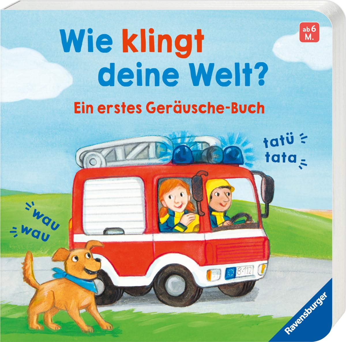 Wie klingt deine Welt? Non-fiction