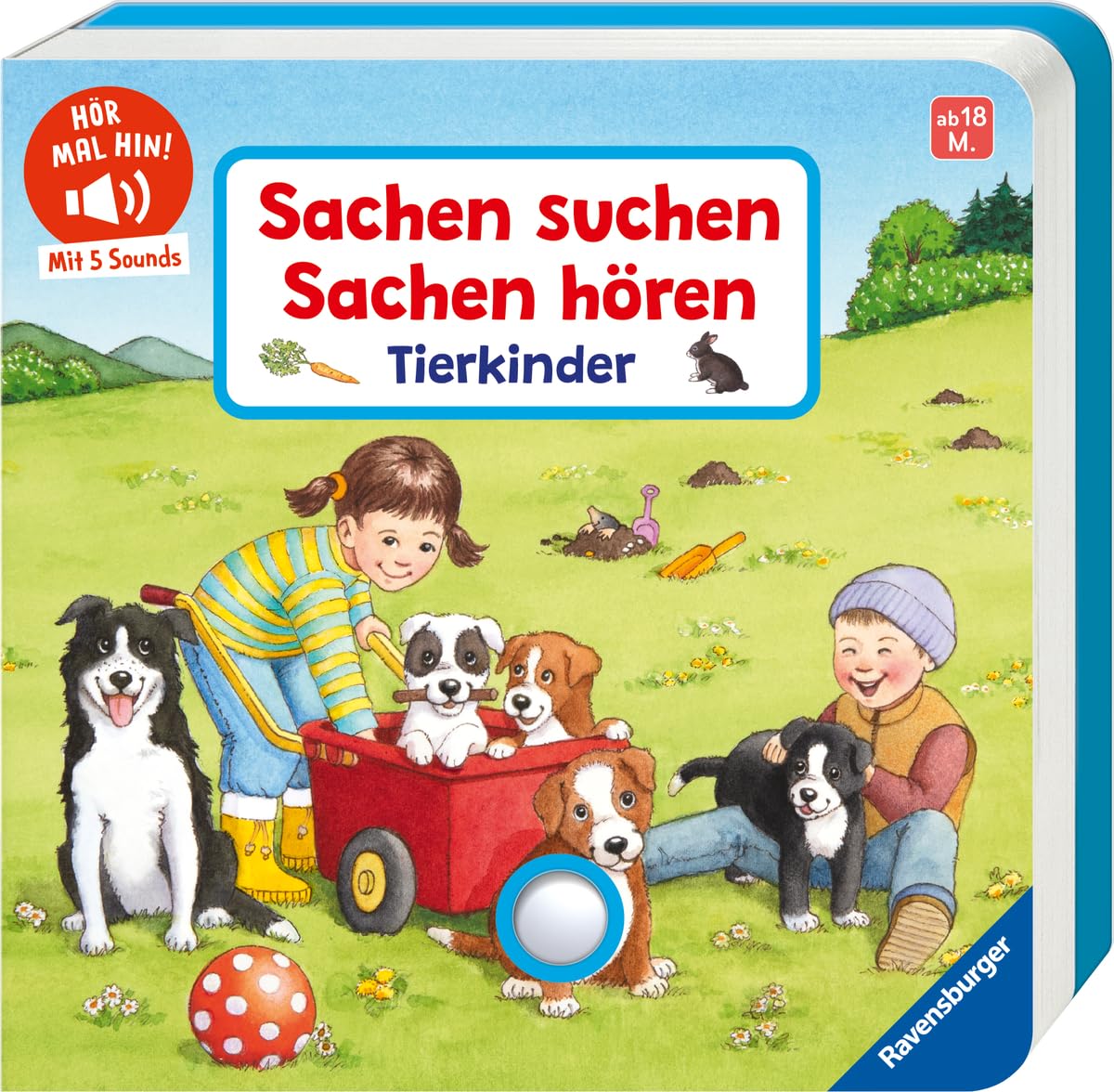 Hör mal hin - Sachen suchen, Sachen hören: Tierkinder Non-fiction