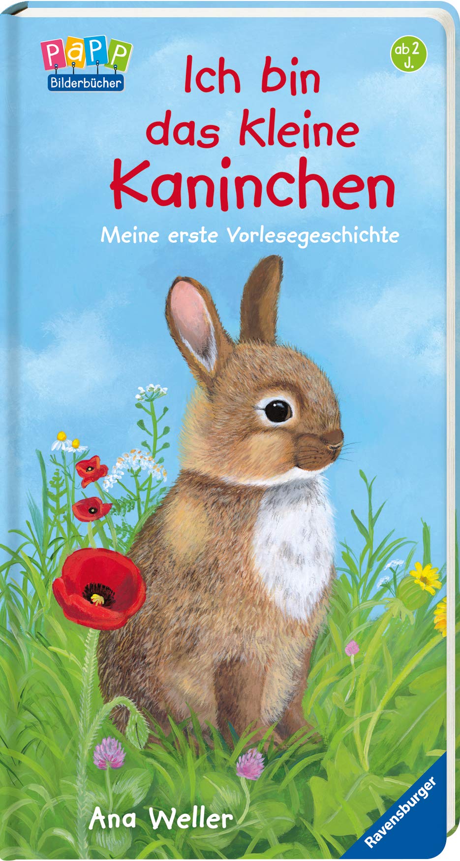 Ich bin das kleine Kaninchen: Meine erste Vorlesegeschichte Non-fiction