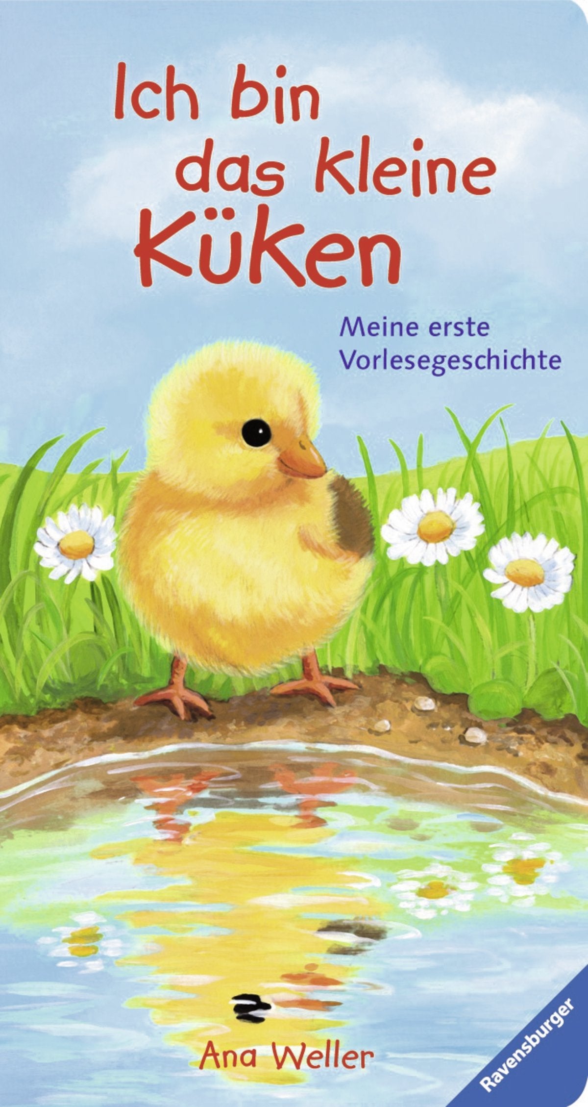 Ich bin das kleine Küken book