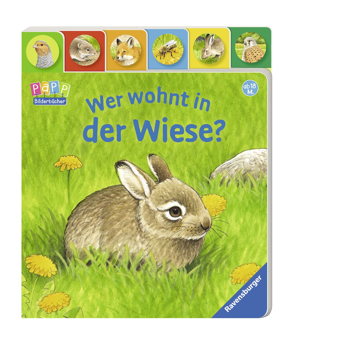 Wer wohnt in der Wiese? Non-fiction