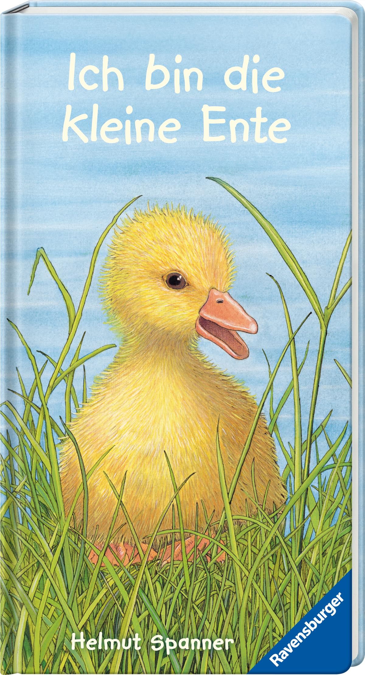 Ich bin die kleine Ente Non-fiction books for kids