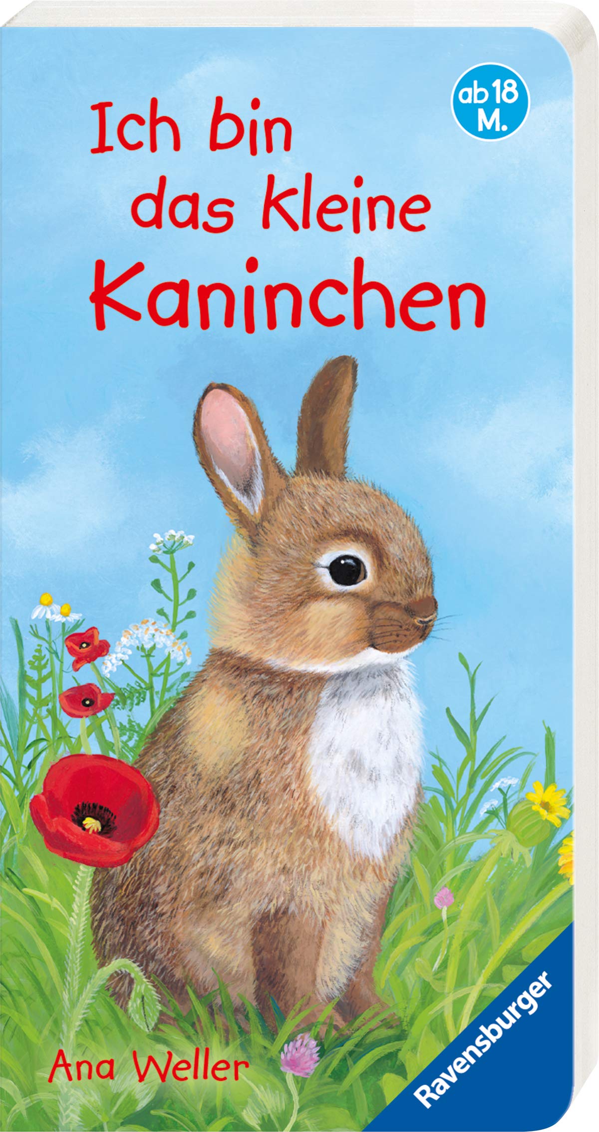 Ich bin das kleine Kaninchen Children's books