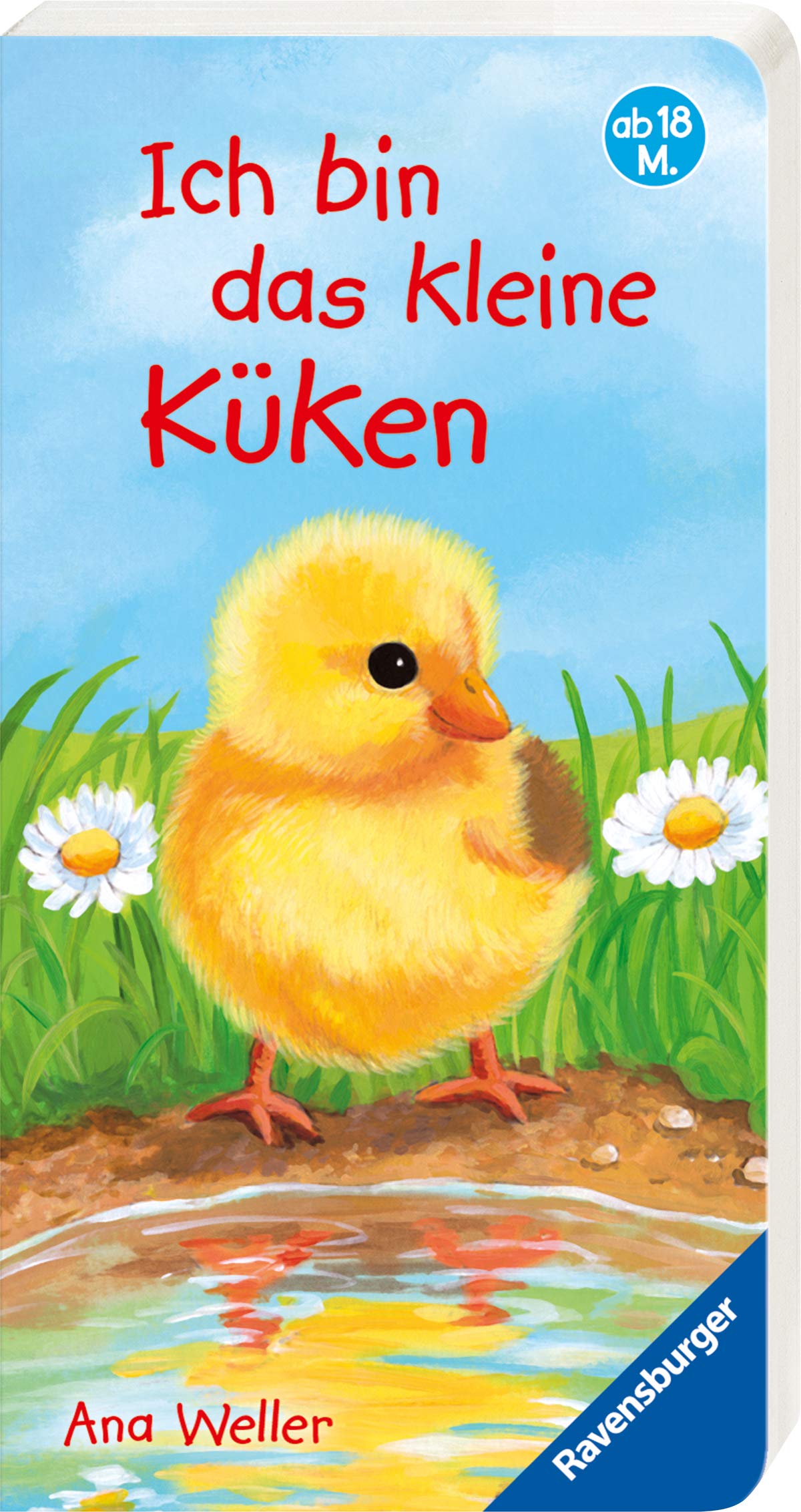 Product Image: Ich bin das kleine Küken