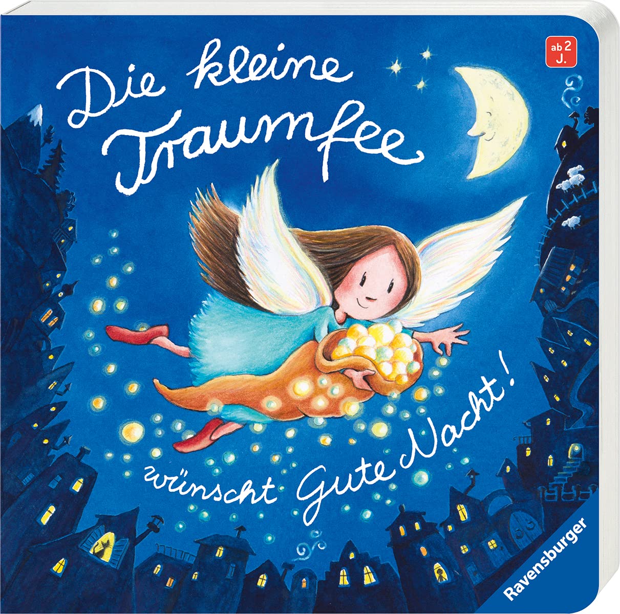 Die kleine Traumfee wünscht Gute Nacht! Non-fiction