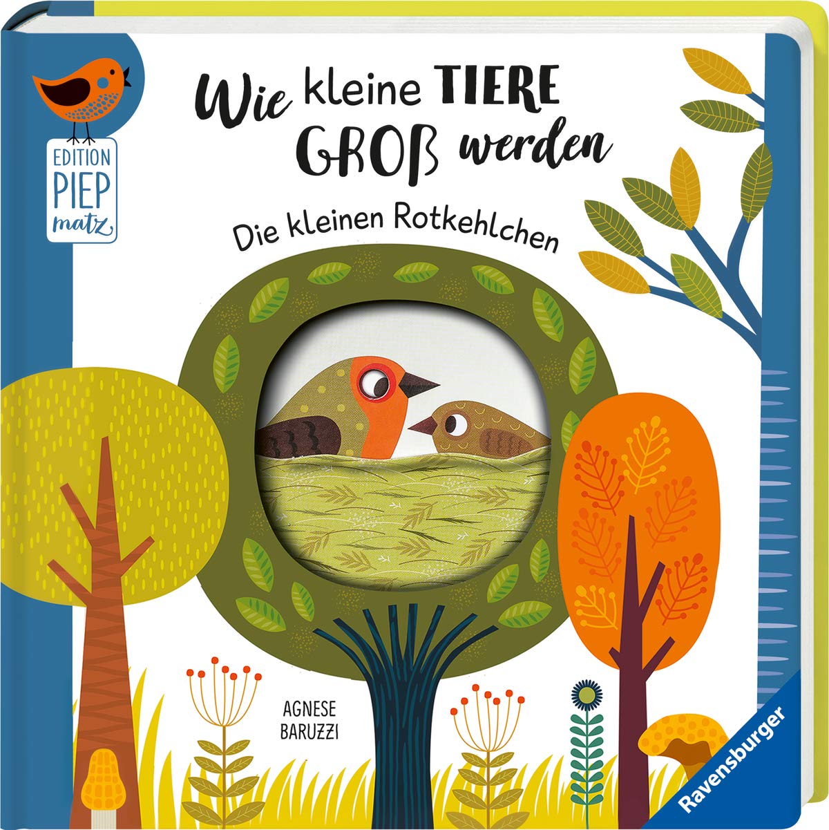 Wie kleine Tiere groß werden: Die kleinen Rotkehlchen Non-fiction