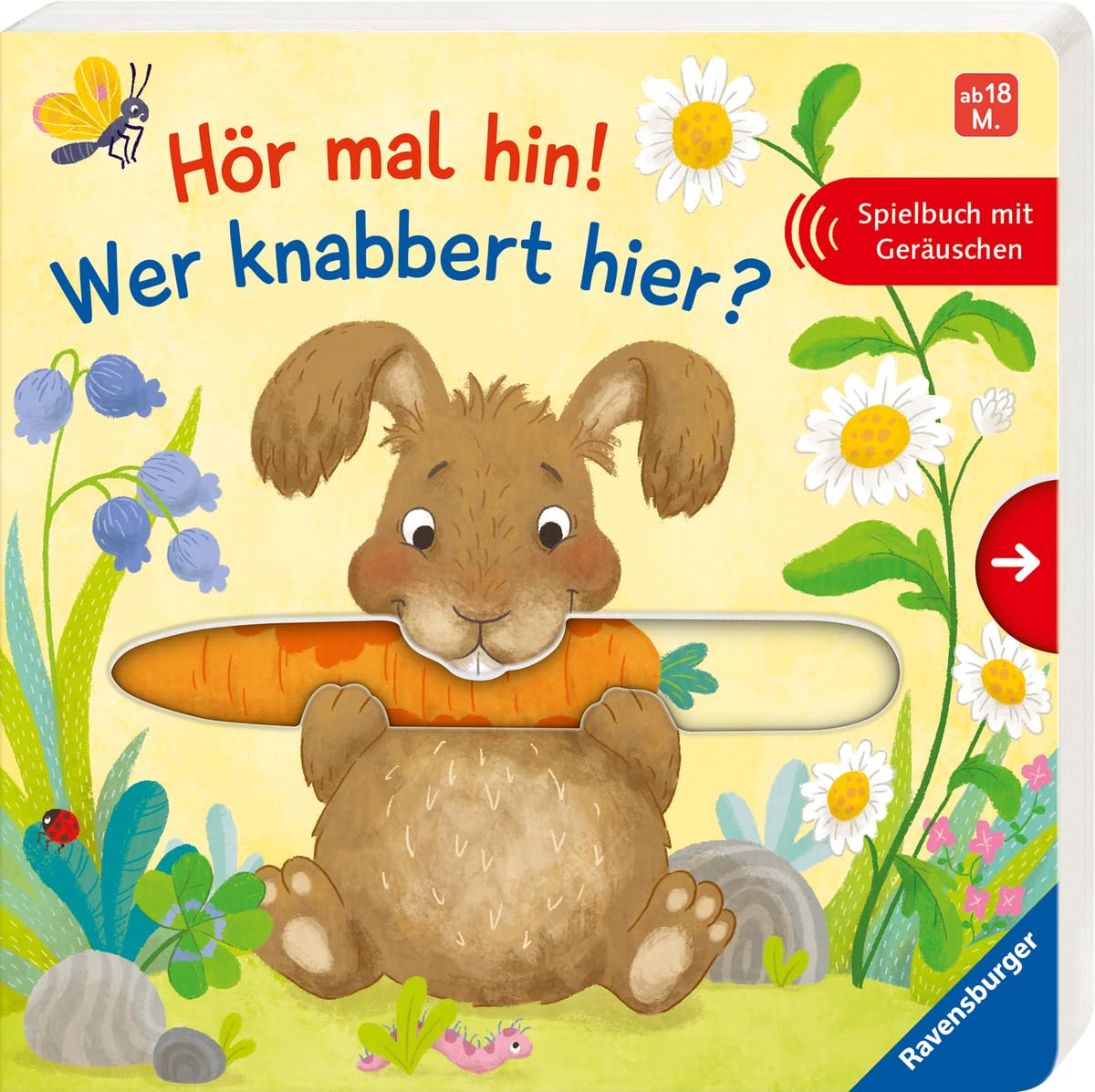 Hör mal hin! Wer knabbert hier? Non-fiction books for kids
