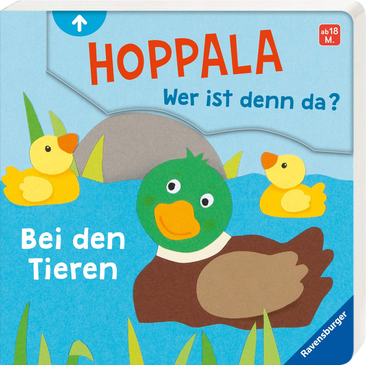Hoppala, wer ist denn da? Bei den Tieren Non-fiction
