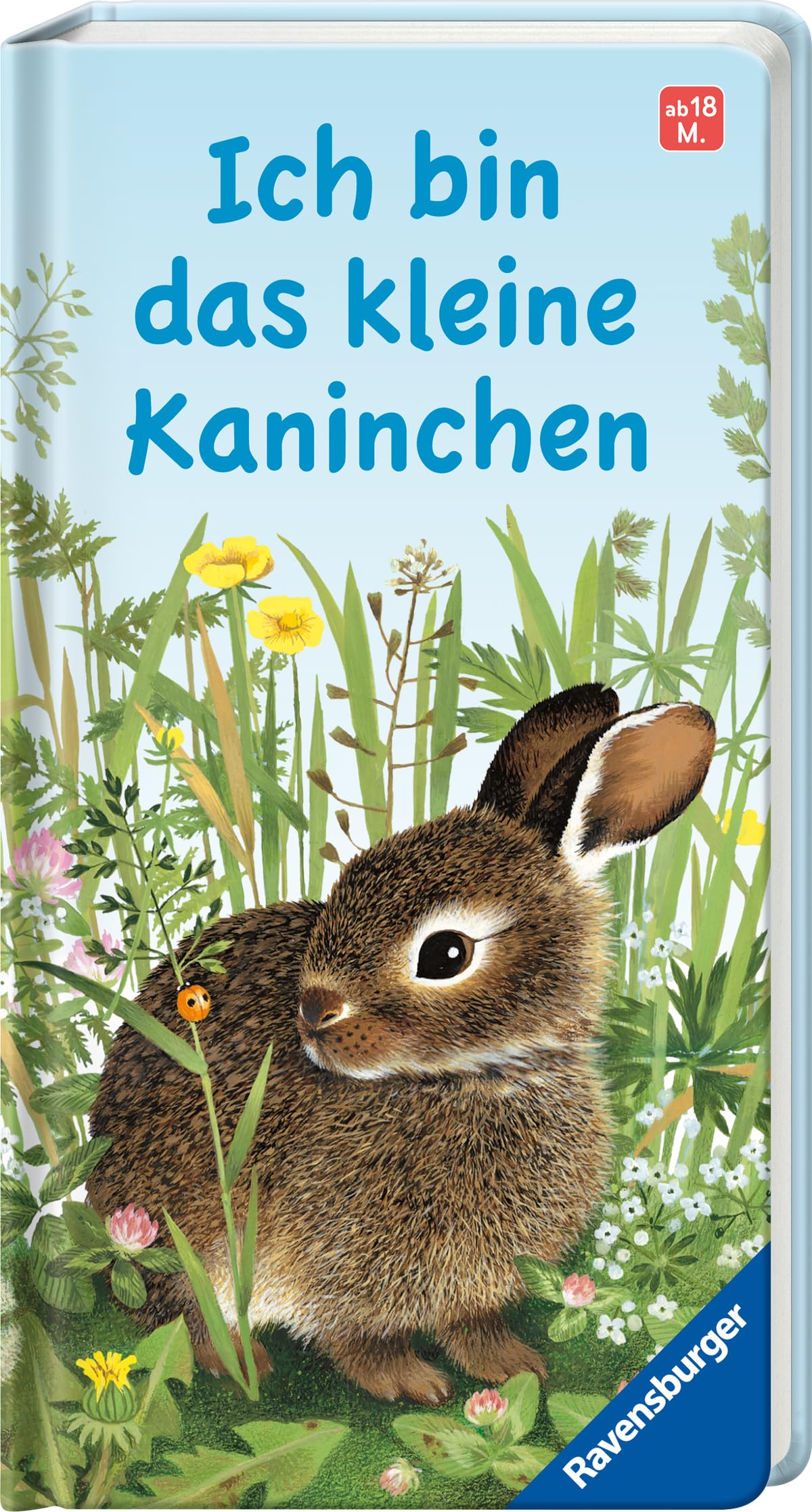 Ich bin das kleine Kaninchen Non-fiction