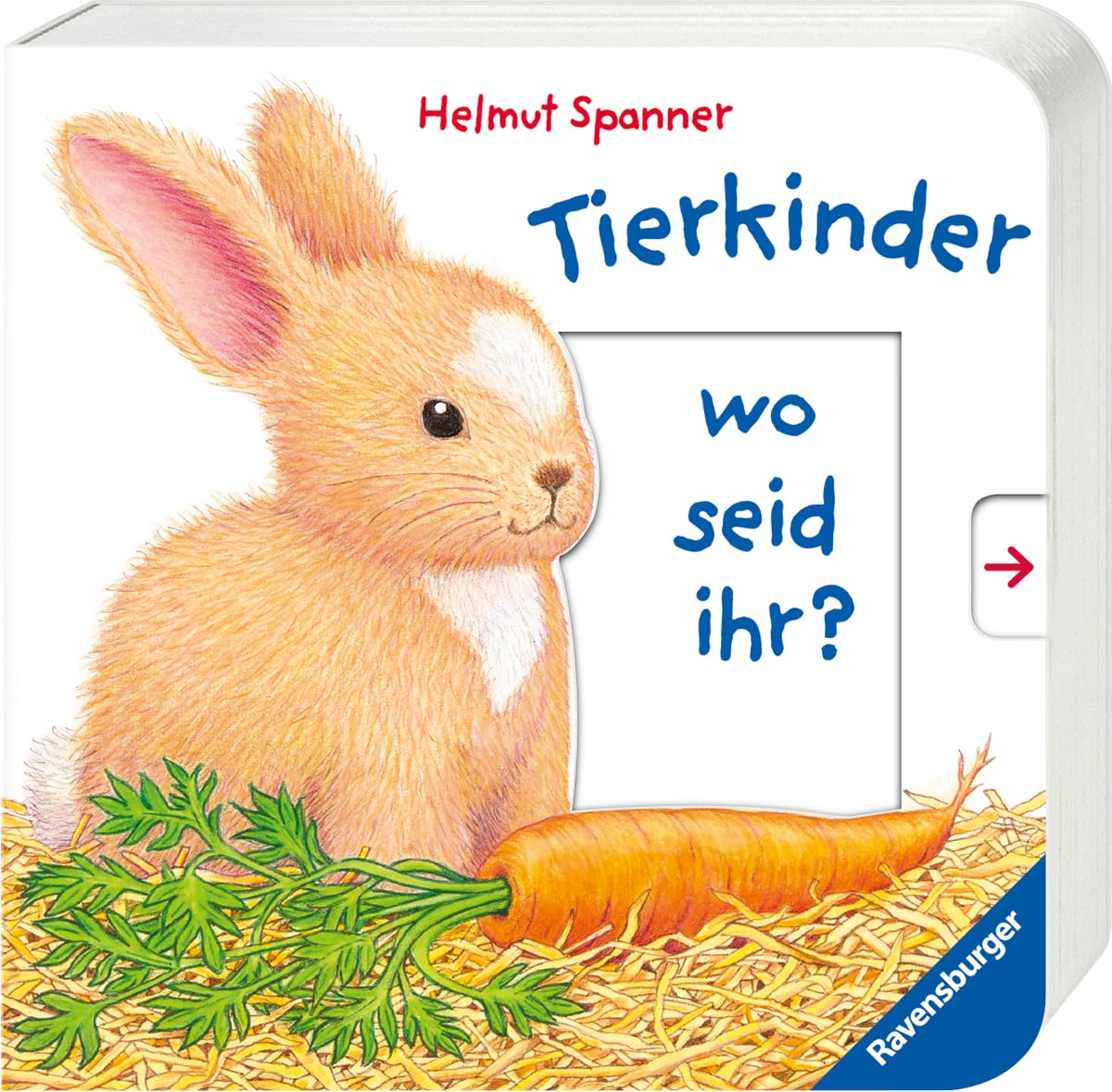 Tierkinder, wo seid ihr? book