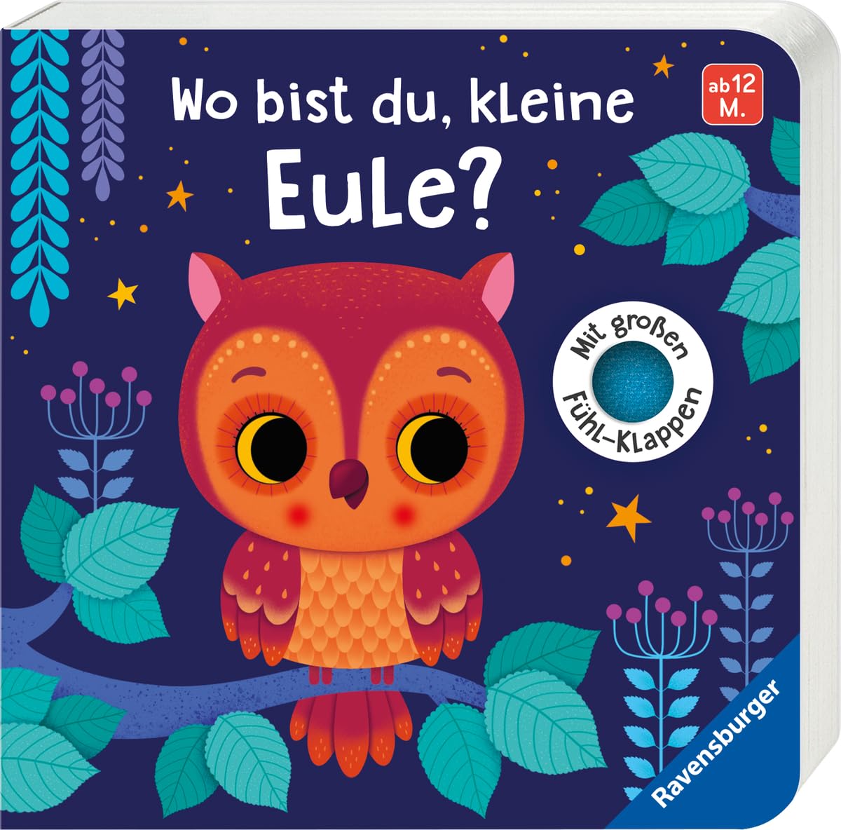 Product Image: Wo bist du, kleine Eule?