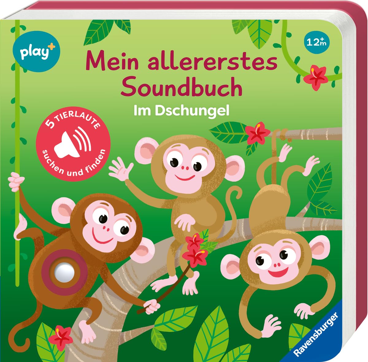 Product Image: Play+ Mein allererstes Soundbuch Im Dschungel - ab 12 Monate