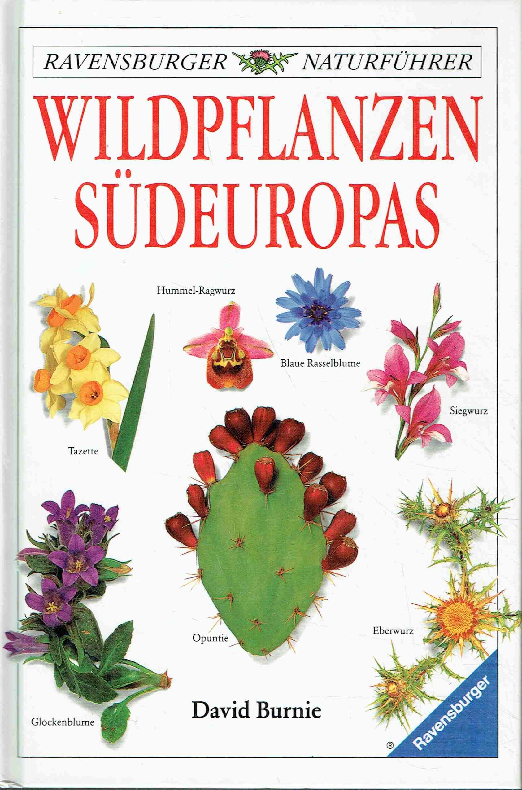 Wildpflanzen Südeuropas (Ravensburger Naturführer) Garden & Plants