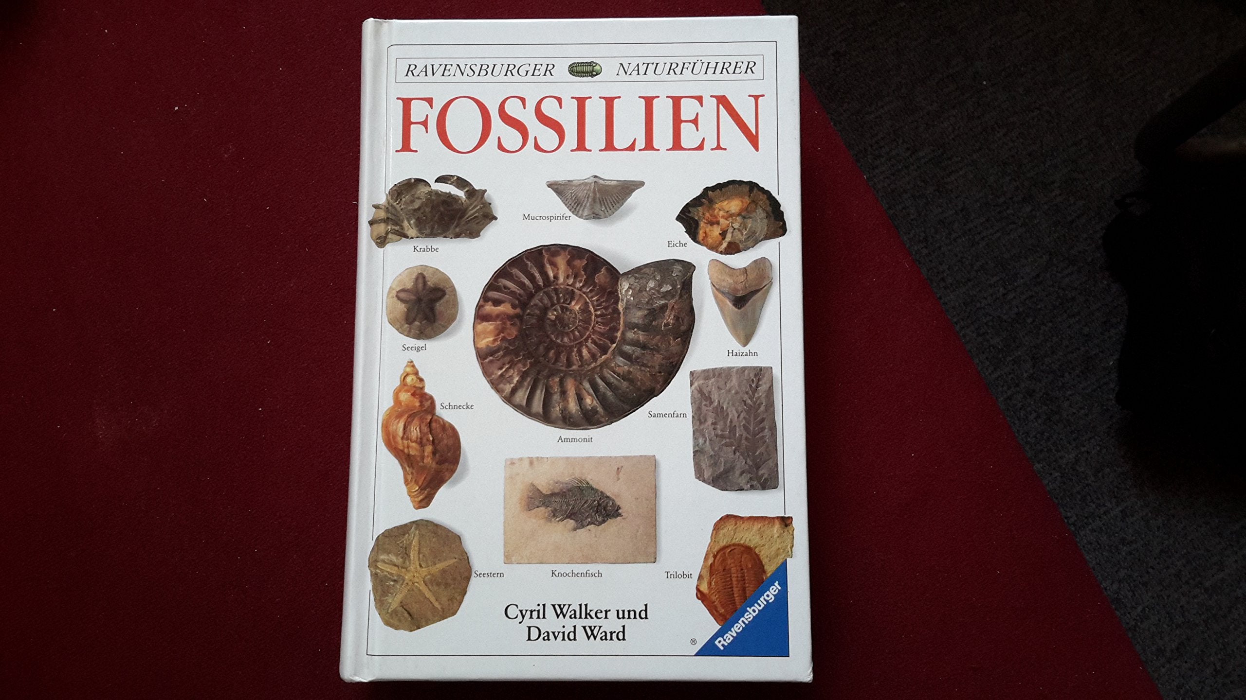 Fossilien (Ravensburger Naturführer) Business & Technology