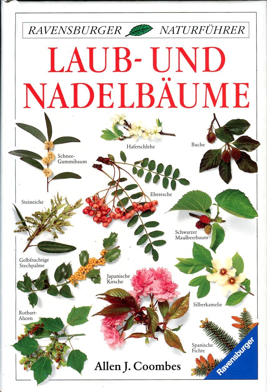Laub- und Nadelbäume (Ravensburger Naturführer) Garden & Plants