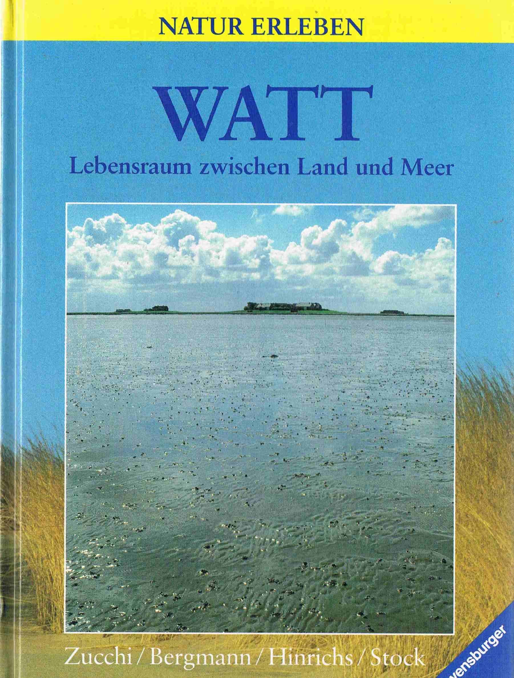 Watt: Lebensraum zwischen Land und Meer Social Sciences
