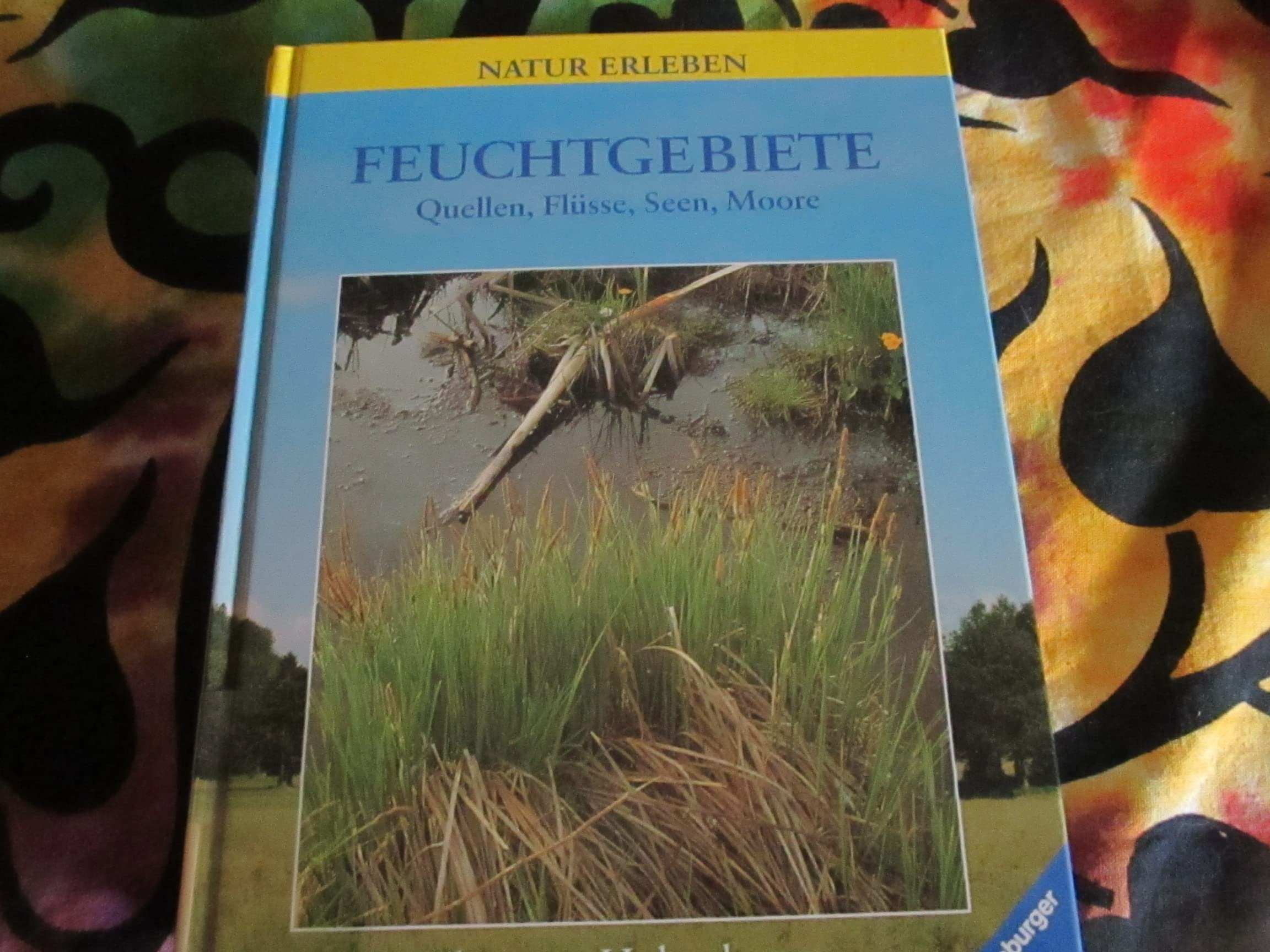 Feuchtgebiete: Quellen, Flüsse, Seen, Moore Politics & History