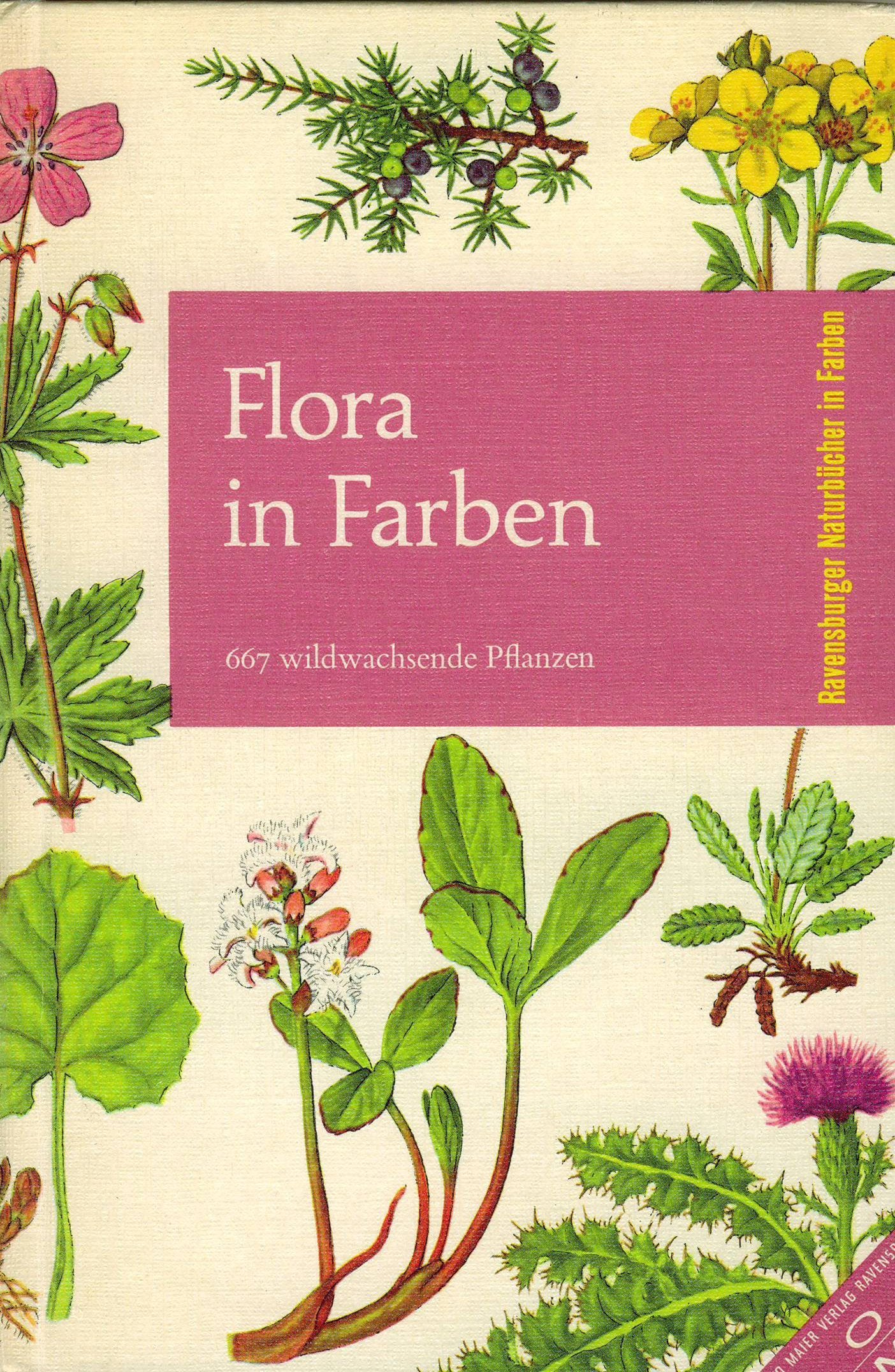Flora in Farben. 667 wild wachsende Pflanzen Leisure, Home & Garden