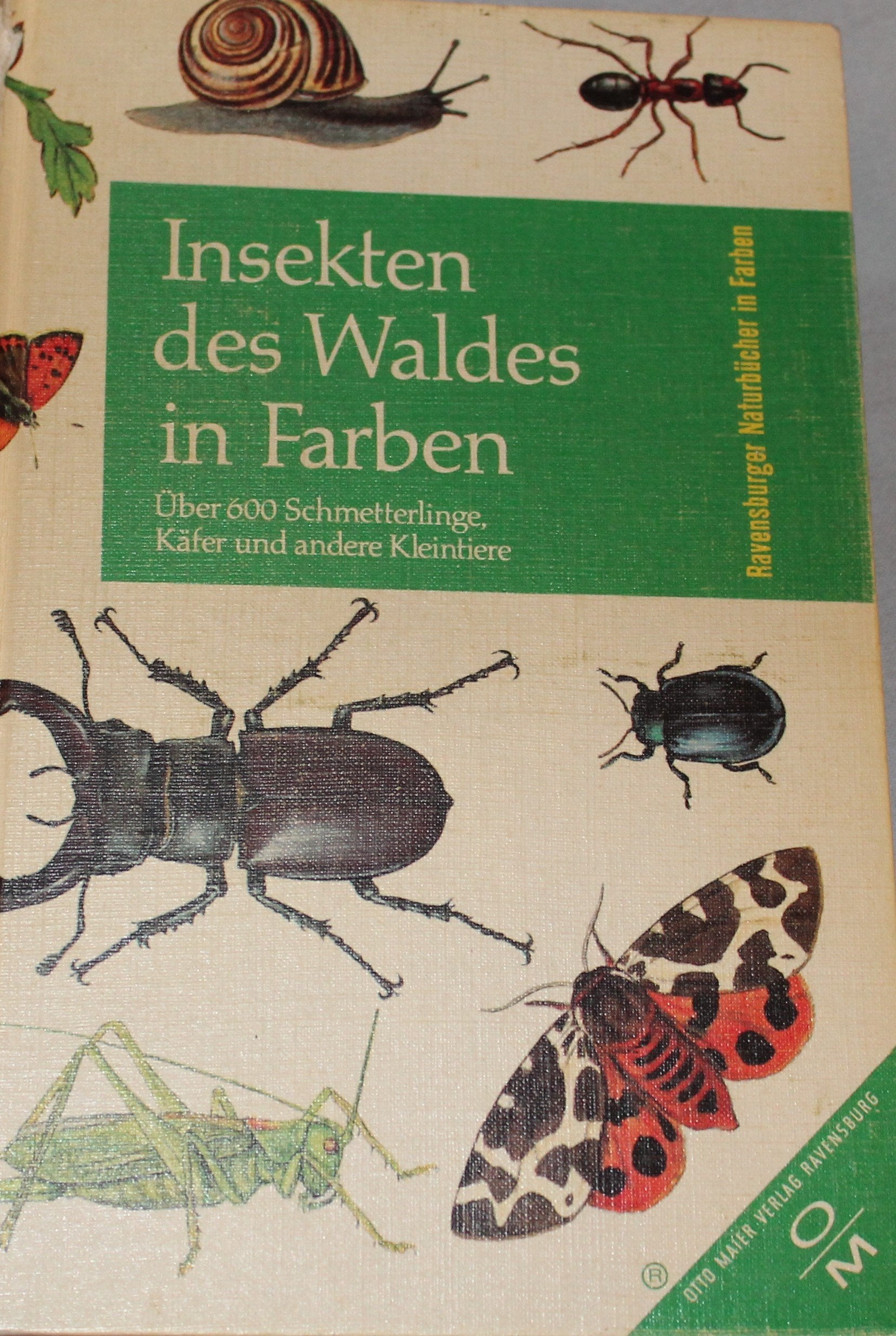 Product Image: Insekten des Waldes in Farben