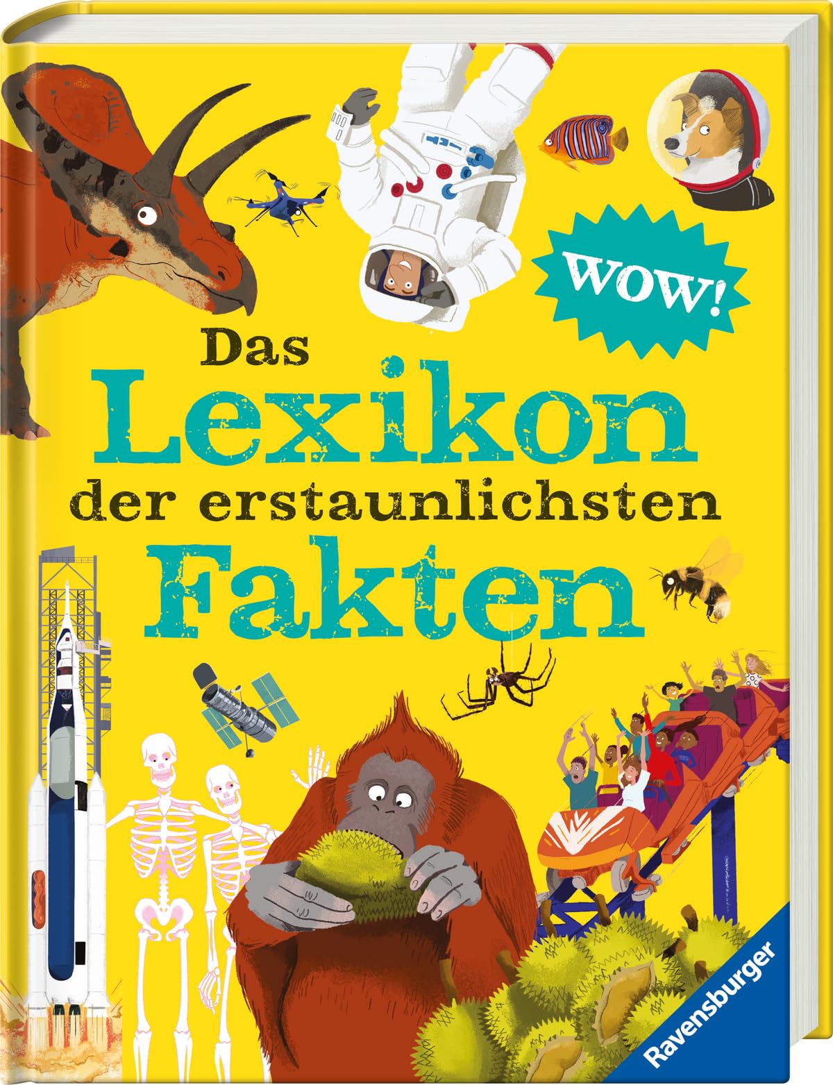 Das Lexikon der erstaunlichsten Fakten General education