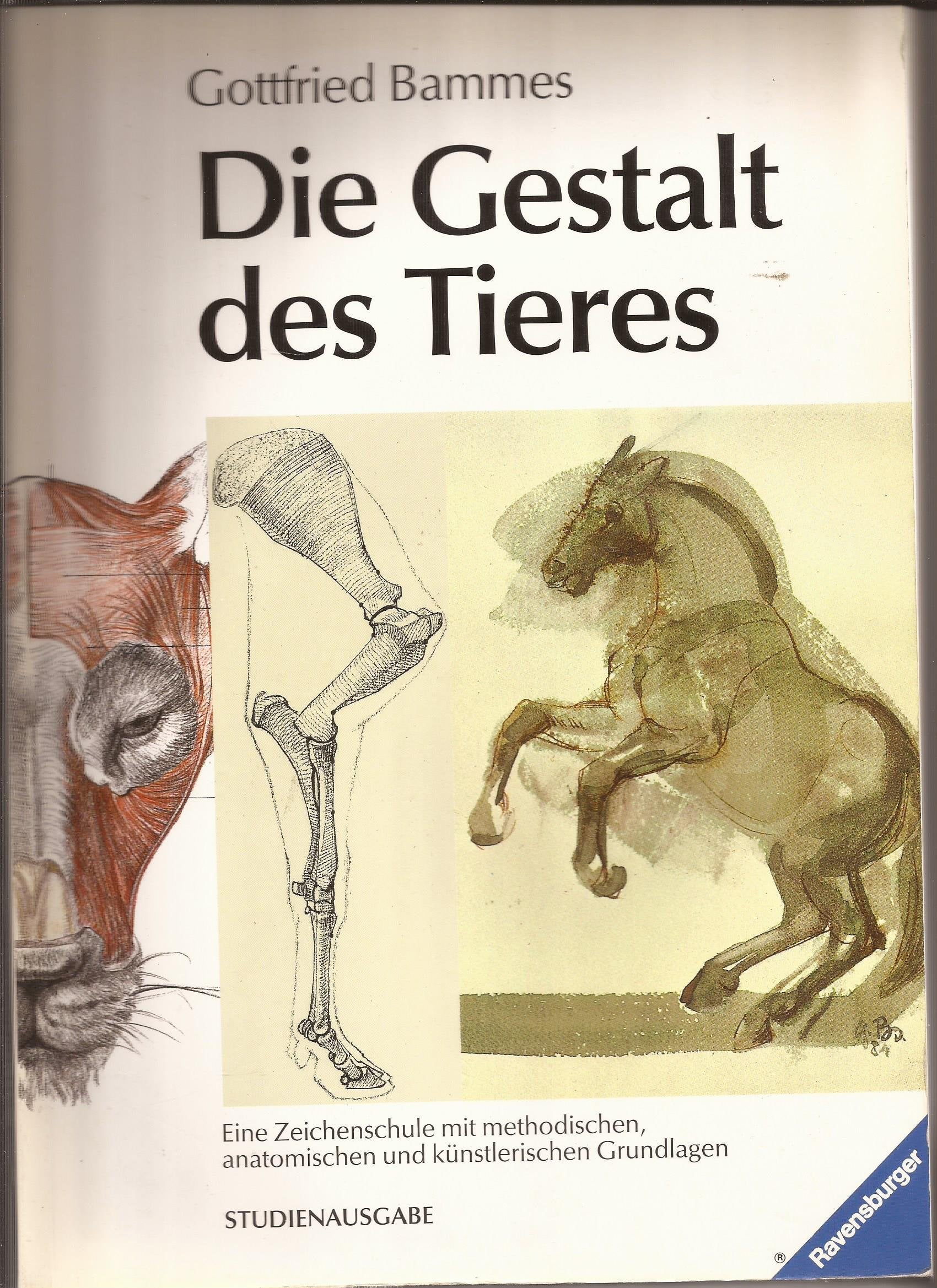 Die Gestalt des Tieres: Eine Zeichenschule mit methodischen, anatomischen und künstlerischen Grundlagen Hobbies & Crafts