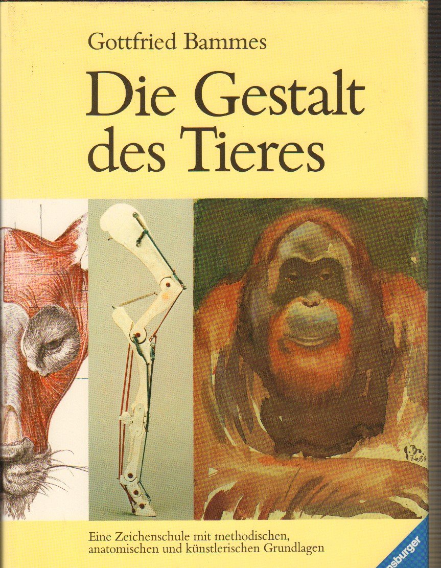 Die Gestalt des Tieres: Eine Zeichenschule mit methodischen, anatomischen und künstlerischen Grundlagen Hobbies & Crafts