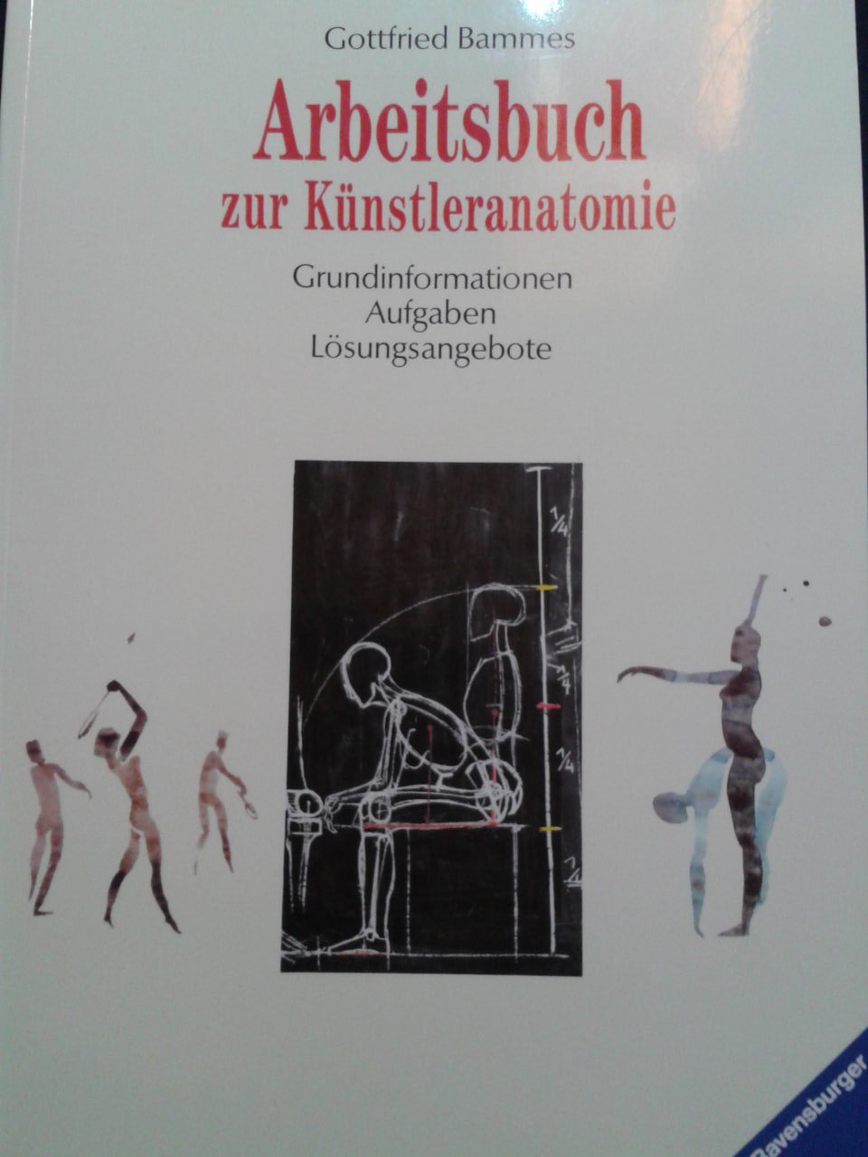 Arbeitsbuch zur Künstleranatomie Medicine
