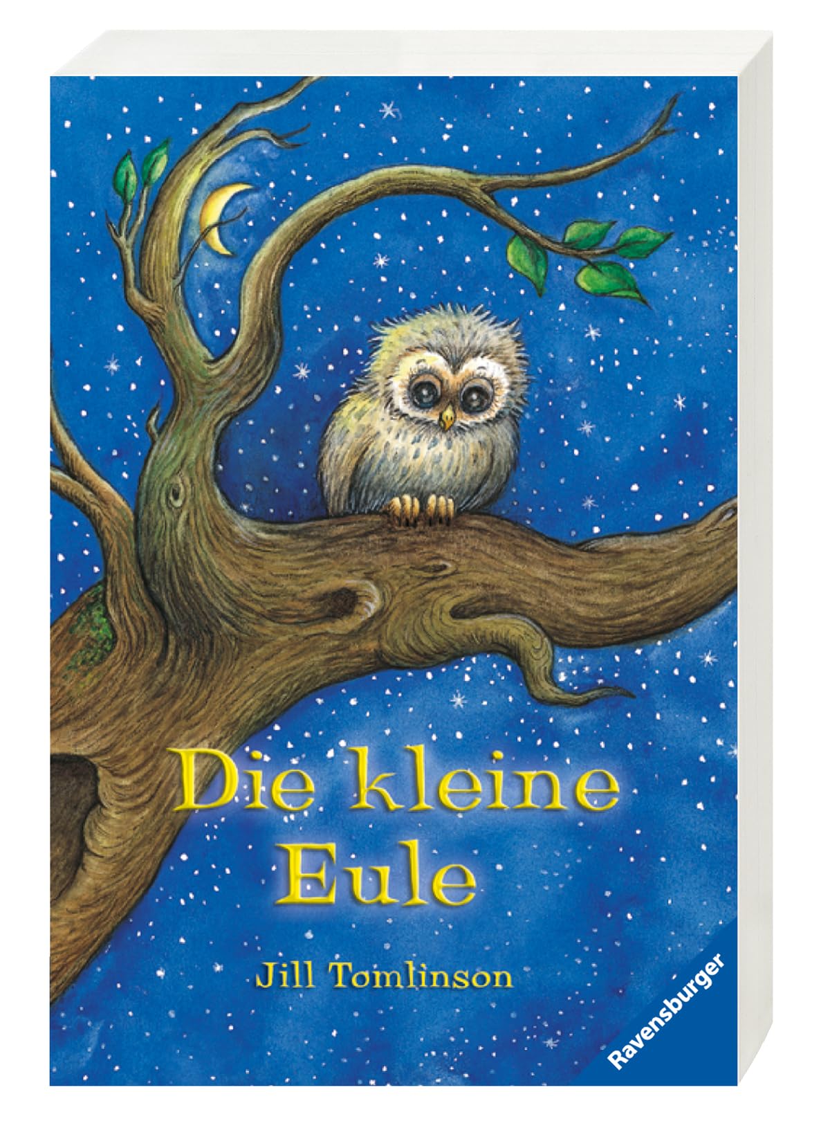 Die kleine Eule Contemporary literature Books