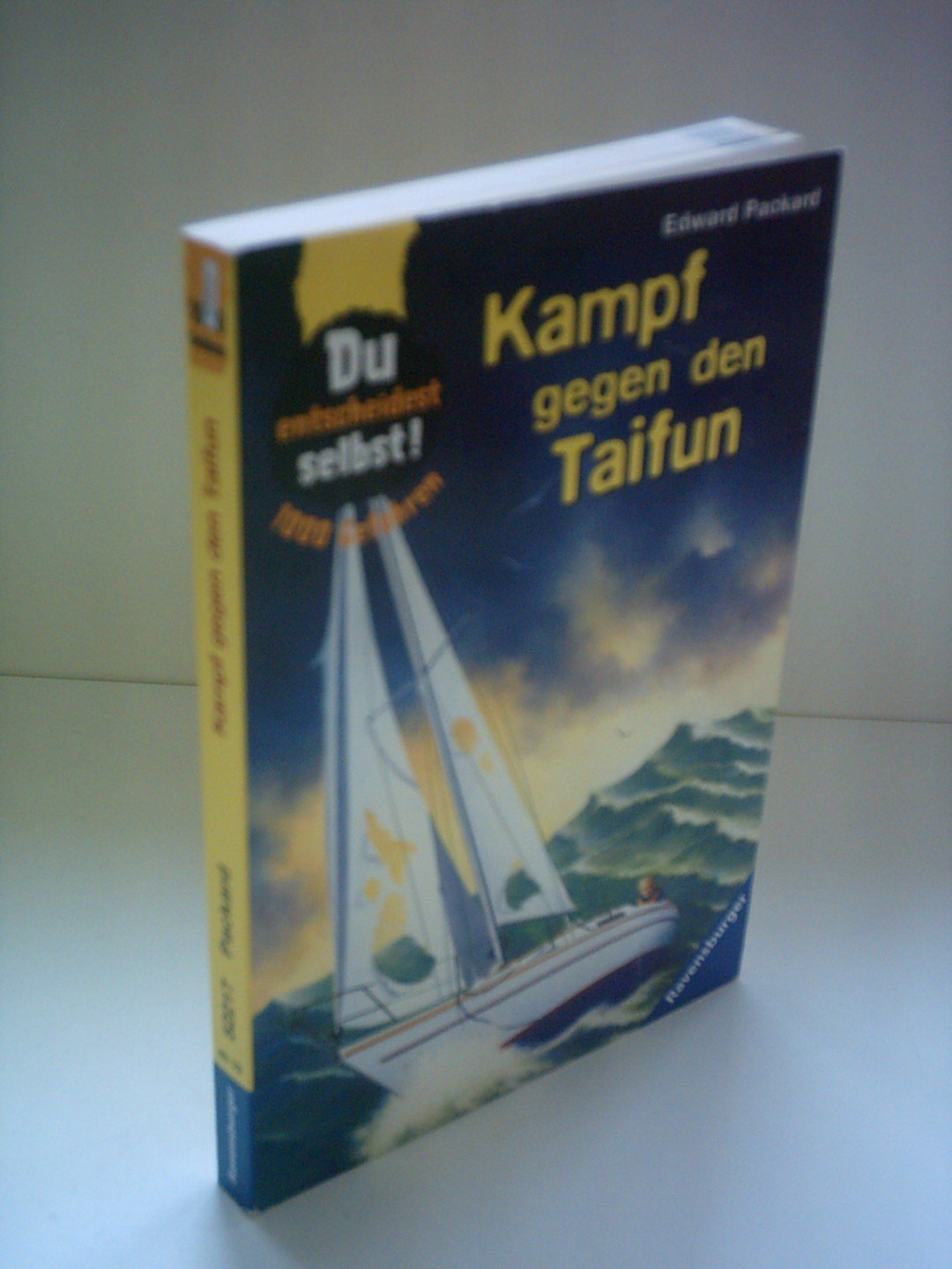 Kampf gegen den Taifun (1000 Gefahren) Books