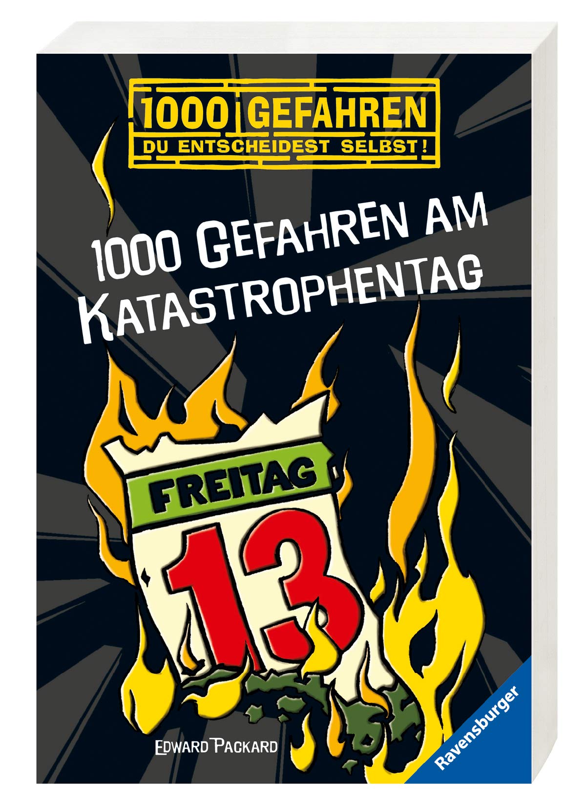 1000 Gefahren am Katastrophentag Contemporary literature
