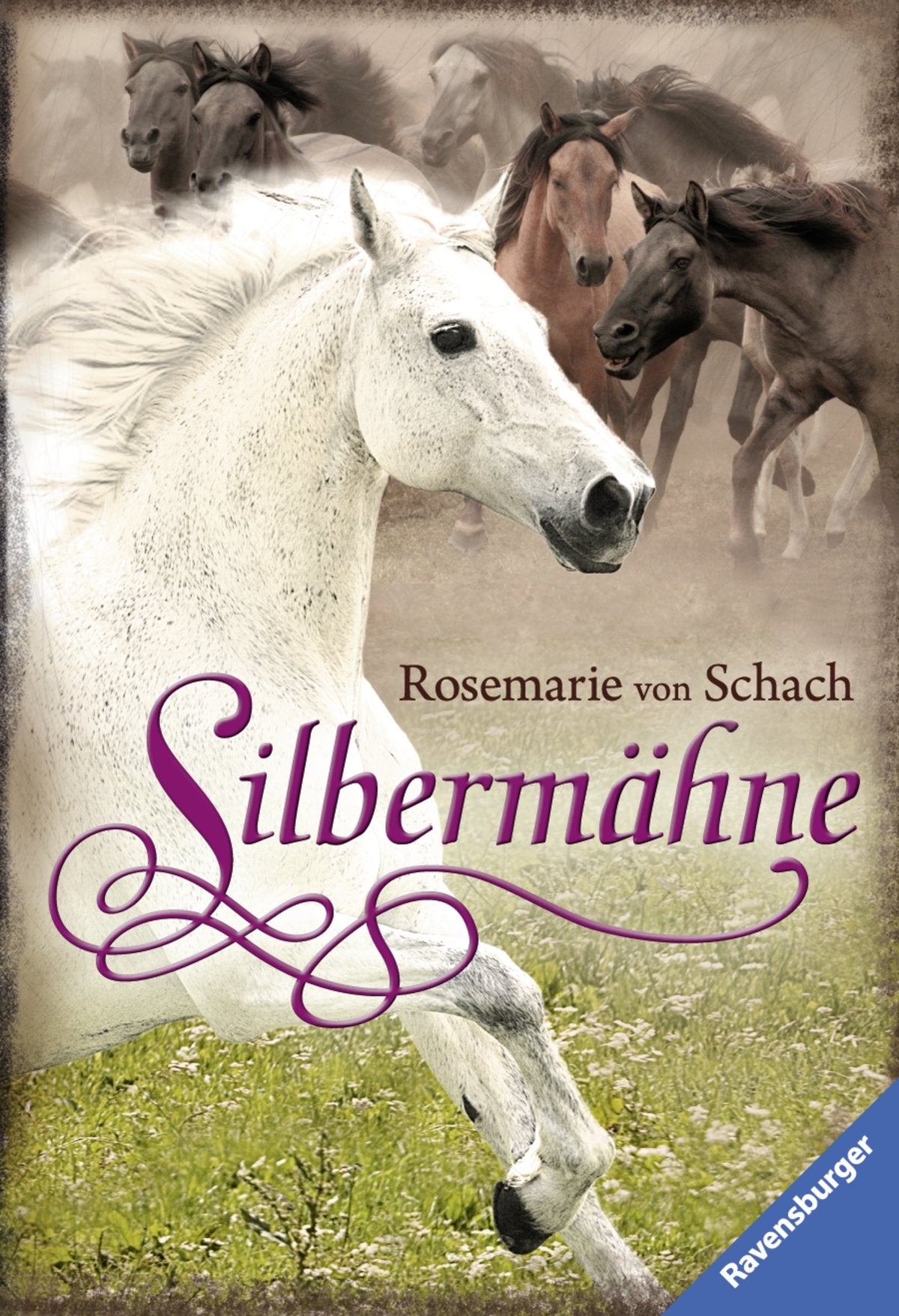 Silbermähne (Ravensburger Taschenbücher) Novels & Short Stories