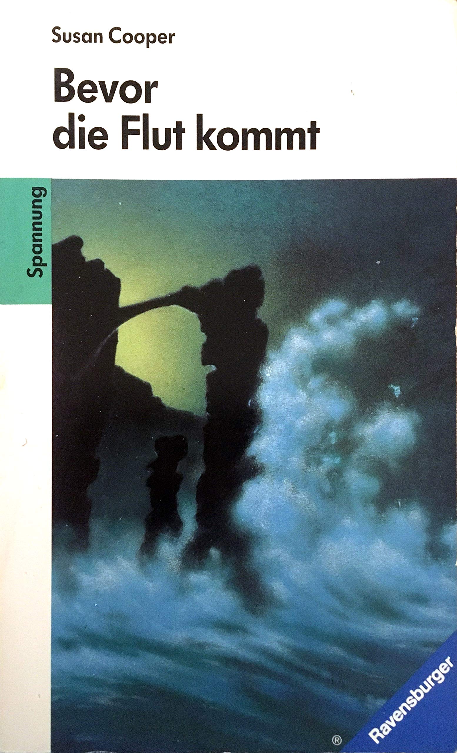 Bevor die Flut kommt (Ravensburger Taschenbücher) Contemporary literature