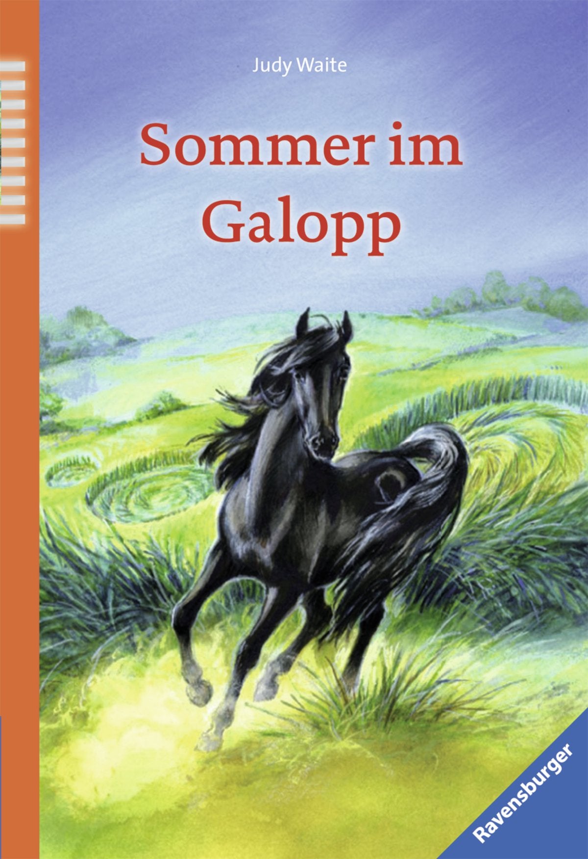 Sommer im Galopp (Ravensburger Taschenbücher) Pets